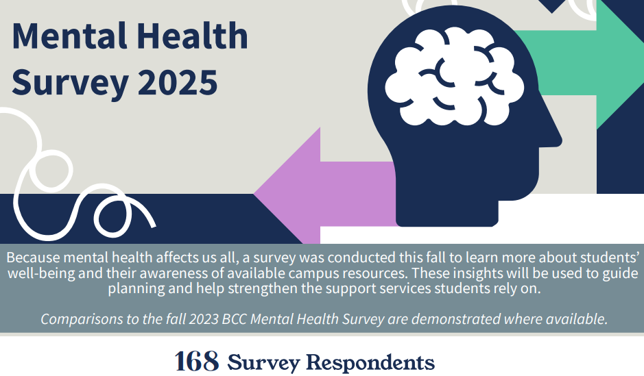 Mental Health Survey Title Page